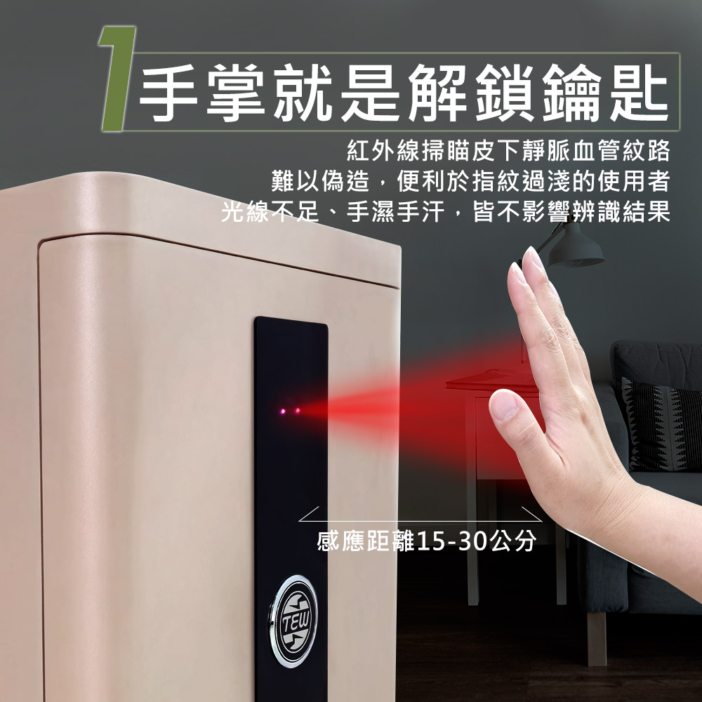 TEW 台熱牌保險箱 TES-70G 產品圖