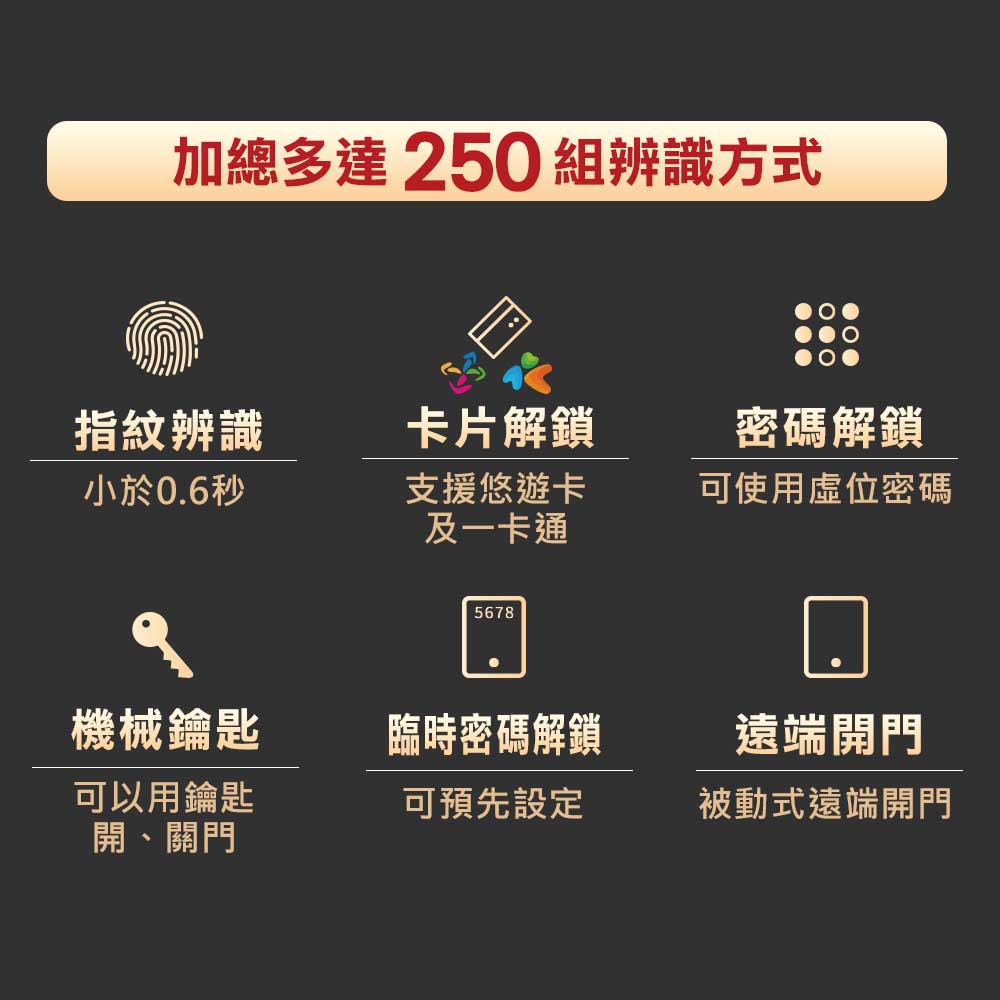TEW 台熱牌電子鎖 H1 產品圖