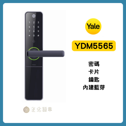 YDM5565