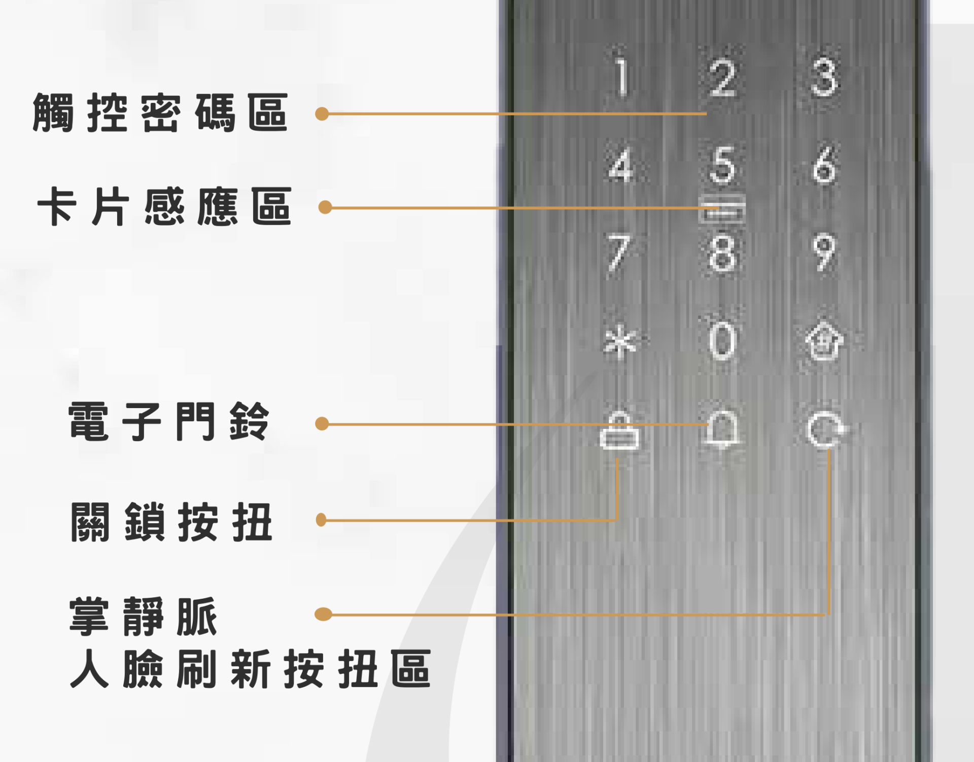 VOC P606 Ultra 外面板觸控鍵盤：觸控密碼區、卡片感應區、電子門鈴、關鎖按扭、掌靜脈人臉刷新按扭區